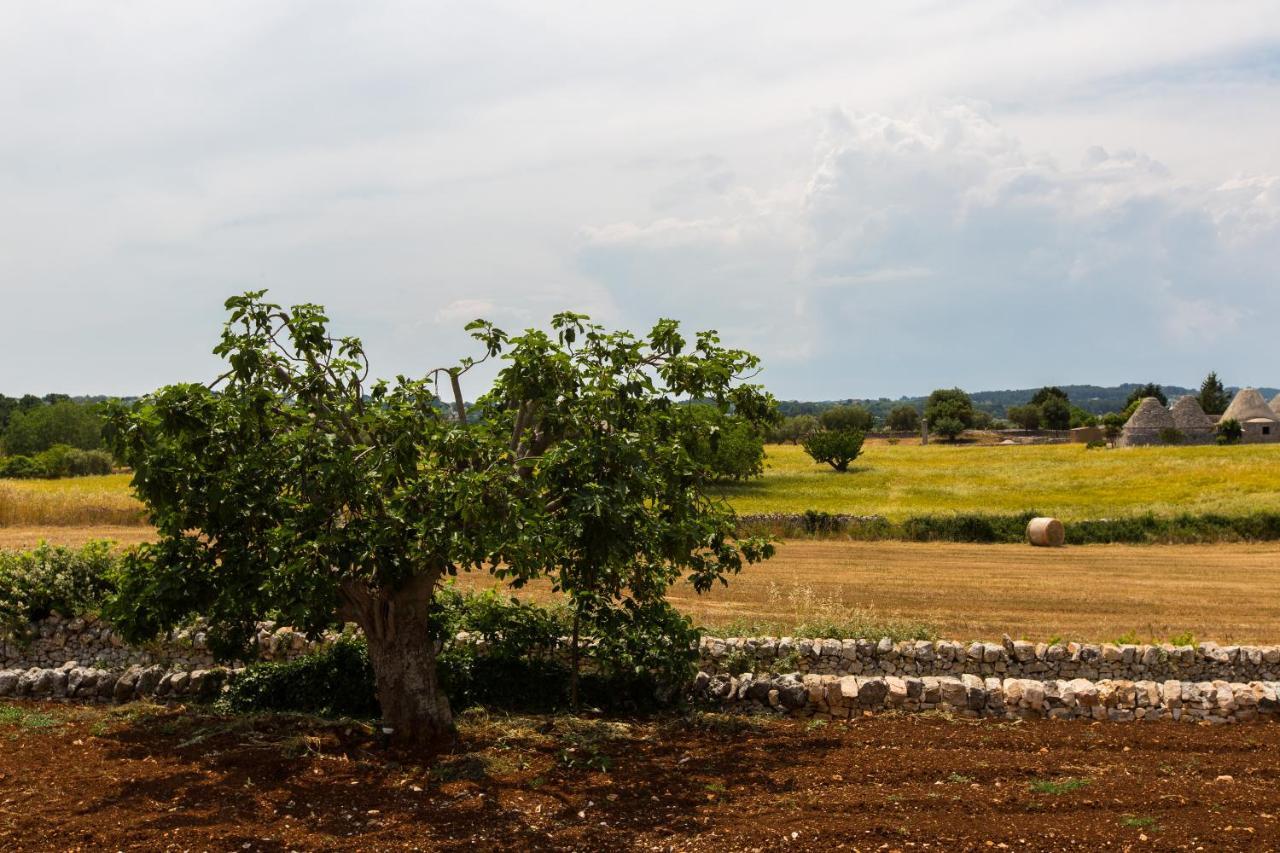 Trulli Gianpaolo - Luxury Villa Ostuni Exterior foto